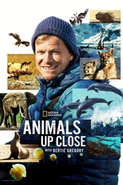 Watch Animals Up Close with Bertie Gregory free movies