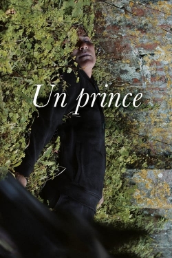 Watch A Prince free movies