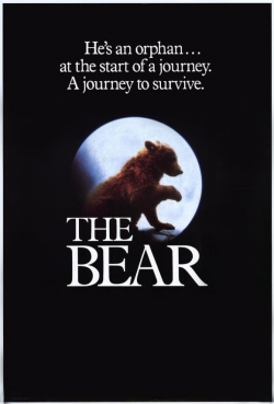 Watch The Bear free movies