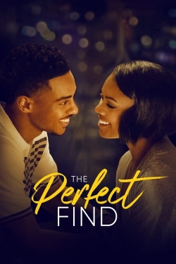 Watch The Perfect Find free movies