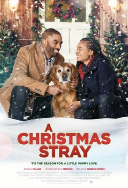 Watch A Christmas Stray free movies