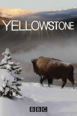 Watch Yellowstone free movies