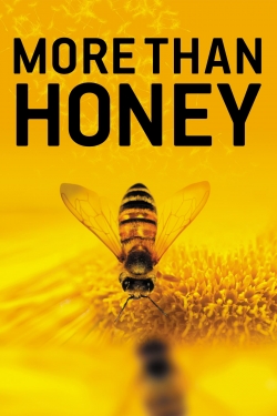 Watch More Than Honey free movies