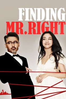 Watch Finding Mr. Right free movies