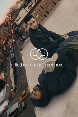 Watch Flatbush Misdemeanors free movies