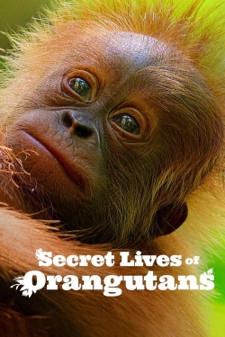 Watch Secret Lives of Orangutans free movies