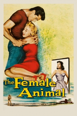 Watch The Female Animal free movies