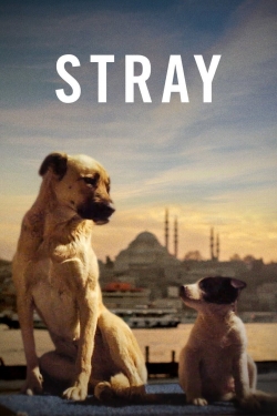 Watch Stray free movies