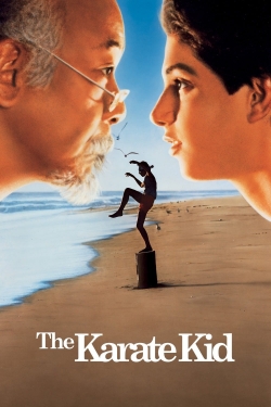 Watch The Karate Kid free movies