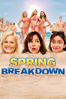 Watch Spring Breakdown free movies