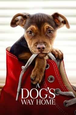 Watch A Dog's Way Home free movies