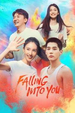 Watch Falling Into You free movies