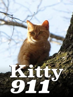 Watch Kitty 911 free movies