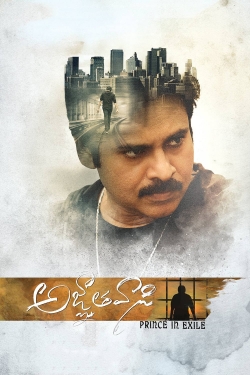 Watch Agnyaathavaasi free movies