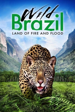 Watch Wild Brazil free movies