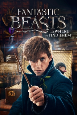 Watch Fantastic Beasts and Where to Find Them free movies