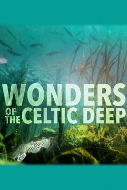 Watch Wonders of the Celtic Deep free movies