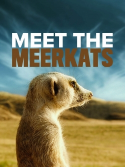 Watch Meet The Meerkats free movies