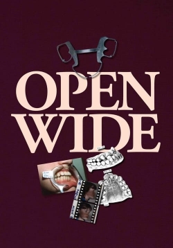 Watch Open Wide free movies