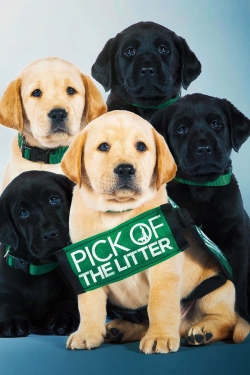 Watch Pick of the Litter free movies